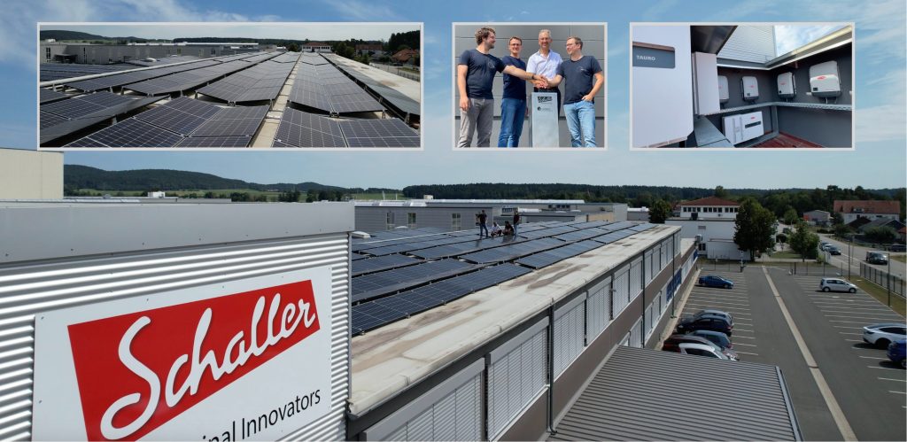 Leasing New Automotive Giants Lack Credible Climate Strategy