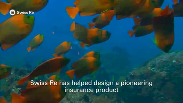 Swiss Re and UNDP Partner on Parametric Coral Reef Insurance for Indonesia
